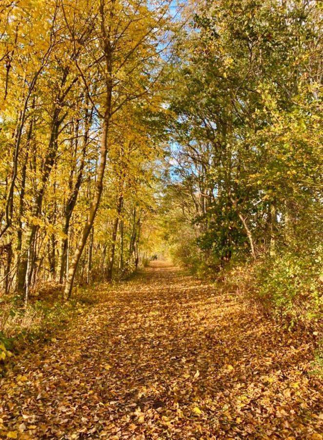 Tallskog - Dein Apartment Am Naturstrand Hohen Wieschendorf Hohenkirchen  Exteriör bild